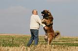 ADULTE ET CHIEN 291